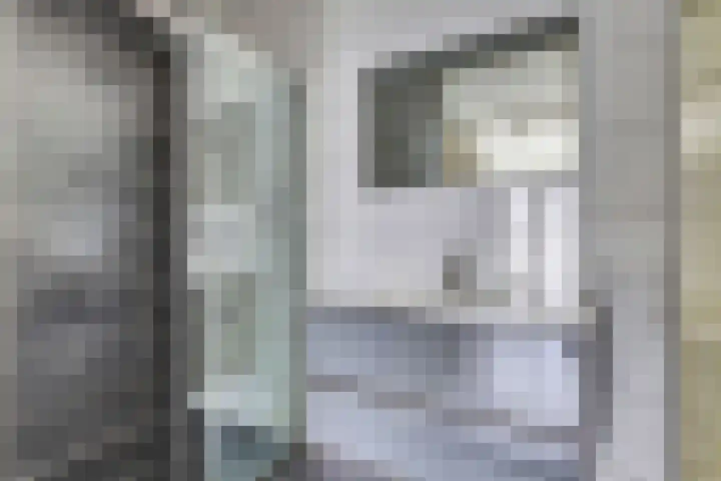 Klaas Rienewerfstrjitte 39 Mûnein thumbnail 18