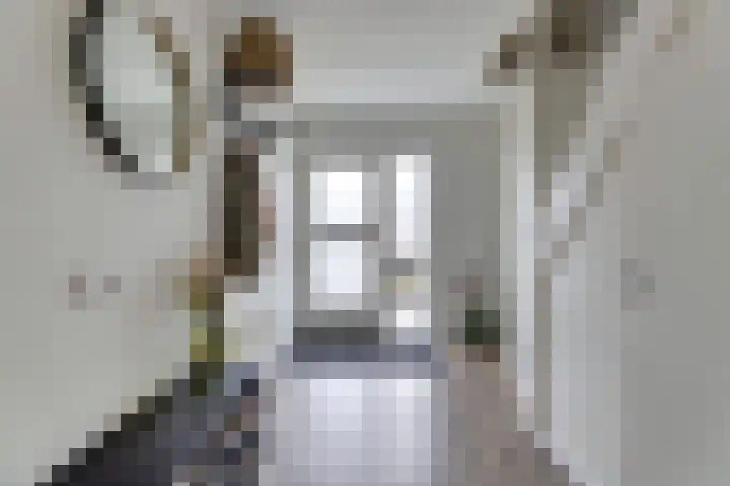 Klaas Rienewerfstrjitte 39 Mûnein thumbnail 6