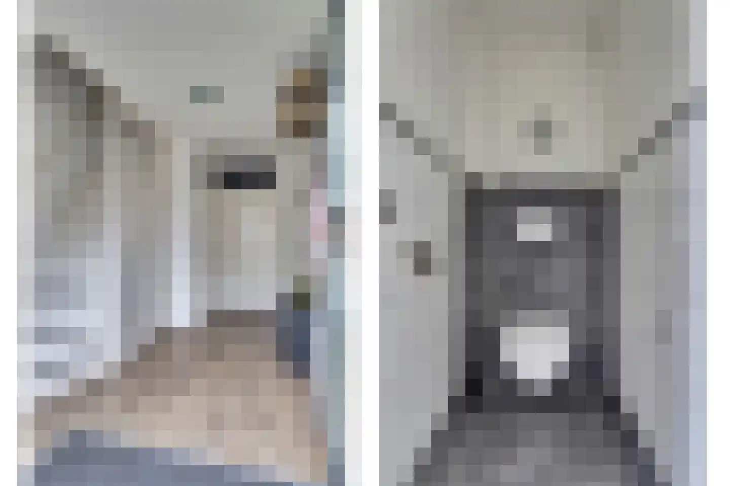 Klaas Rienewerfstrjitte 39 Mûnein thumbnail 7