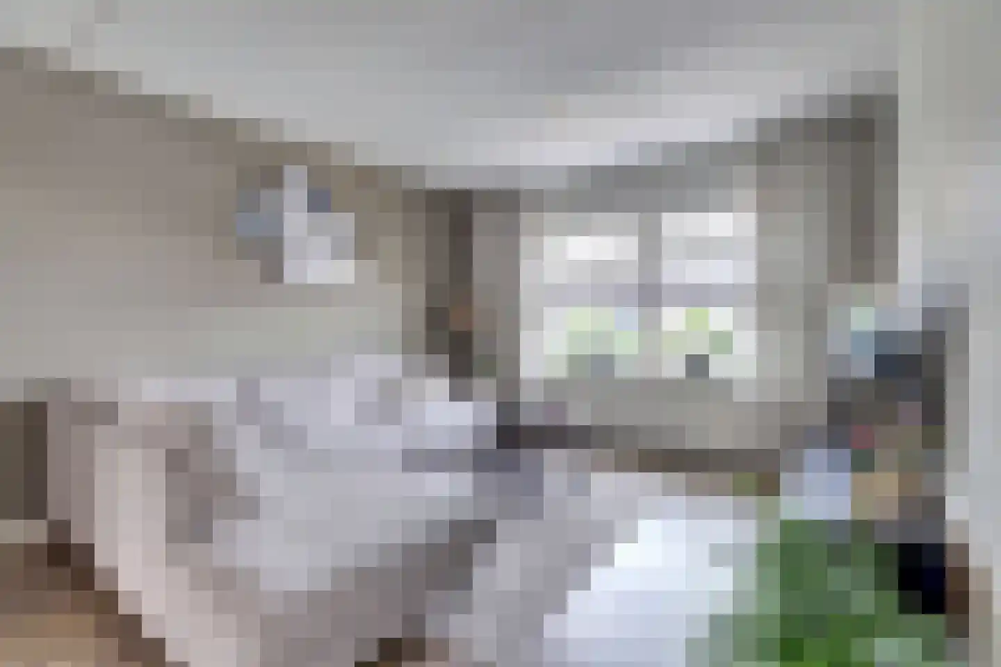 Klaas Rienewerfstrjitte 39 Mûnein thumbnail 8