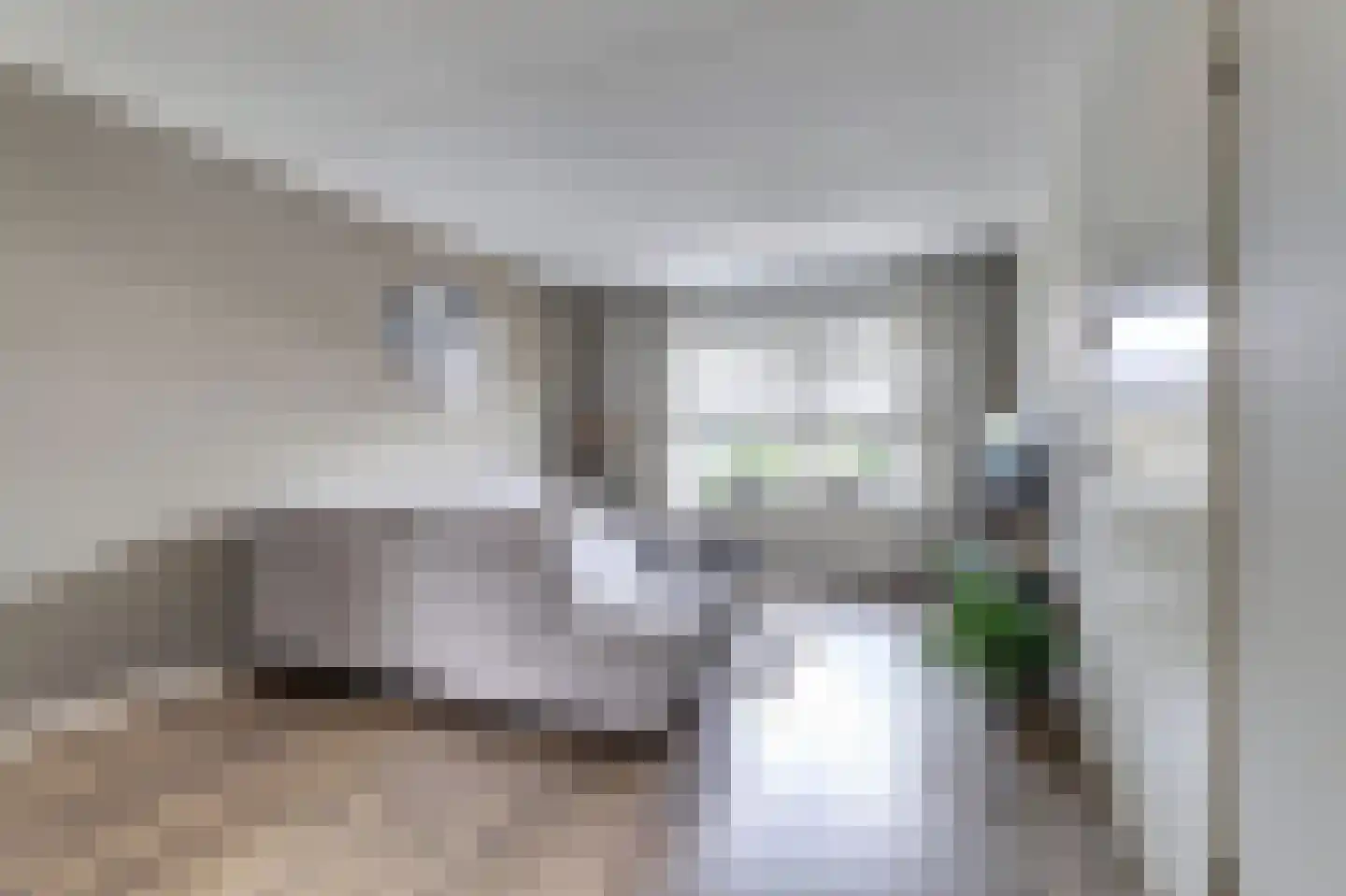 Klaas Rienewerfstrjitte 39 Mûnein thumbnail 9
