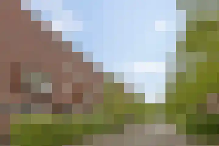 Klaas Schipperlaan 18 Groningen thumbnail 36