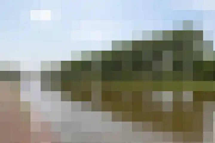 Klaas Schipperlaan 18 Groningen thumbnail 37