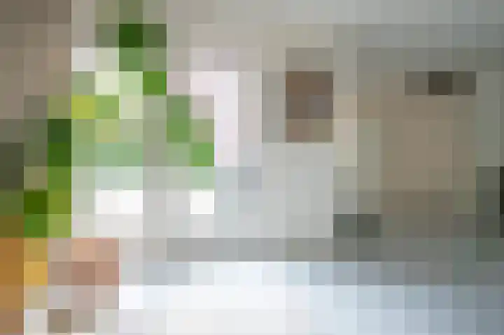 Klaas Schipperlaan 20 Groningen thumbnail 23