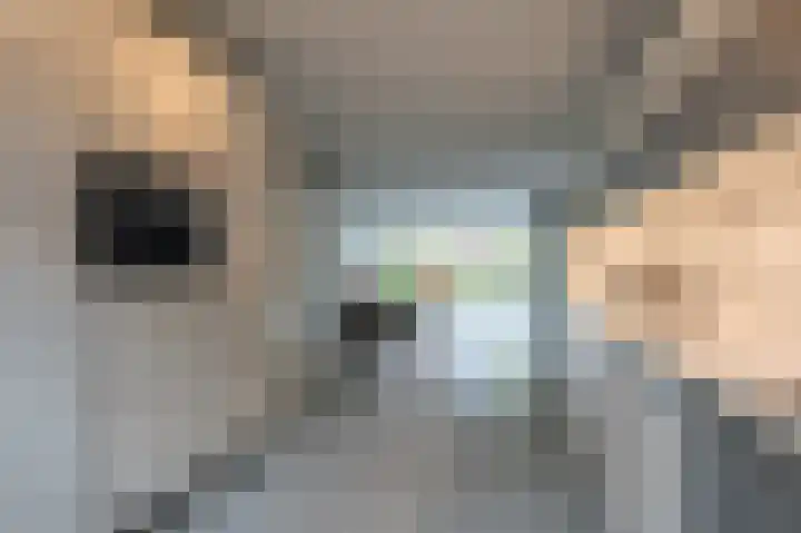 Klaas Schipperlaan 20 Groningen thumbnail 27