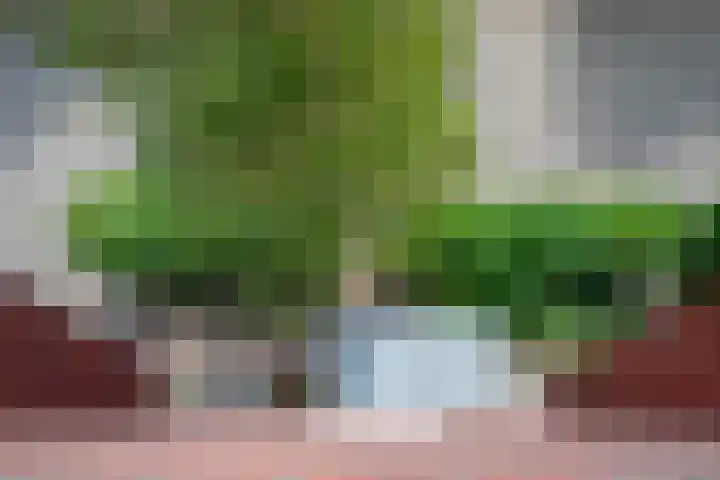 Klaas Schipperlaan 20 Groningen thumbnail 36