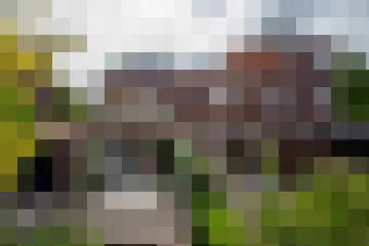 Klaas Schipperlaan 20 Groningen thumbnail 39