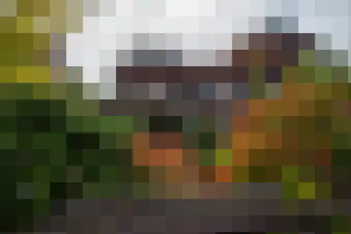 Klaas Schipperlaan 20 Groningen thumbnail 40