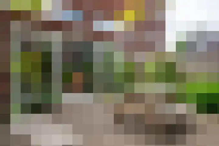 Klaas Schipperlaan 20 Groningen thumbnail 42