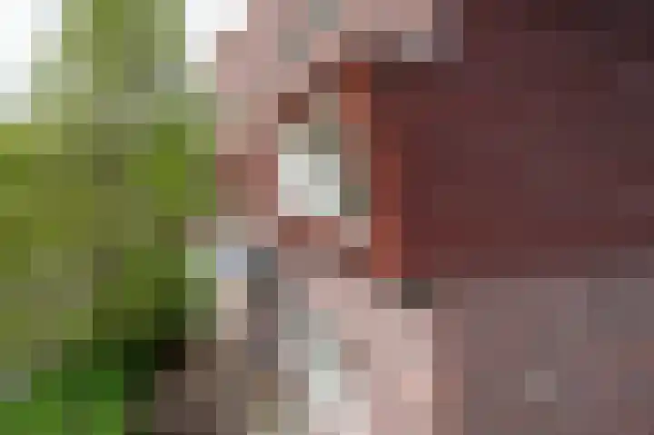 Klaas Schipperlaan 20 Groningen thumbnail 6