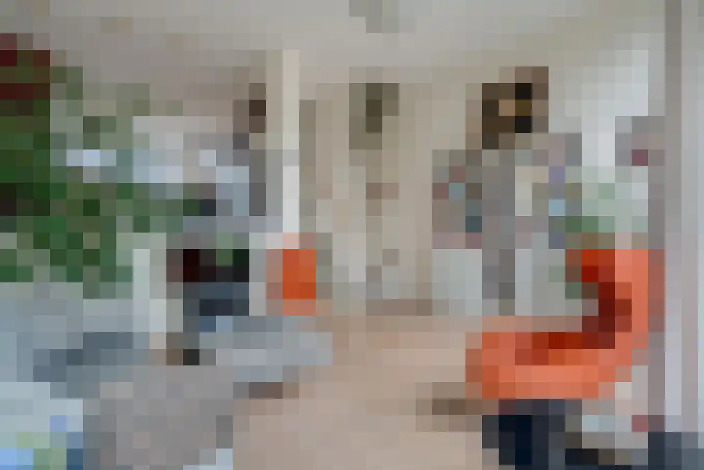 Klaas Schipperlaan 8 Groningen thumbnail 17