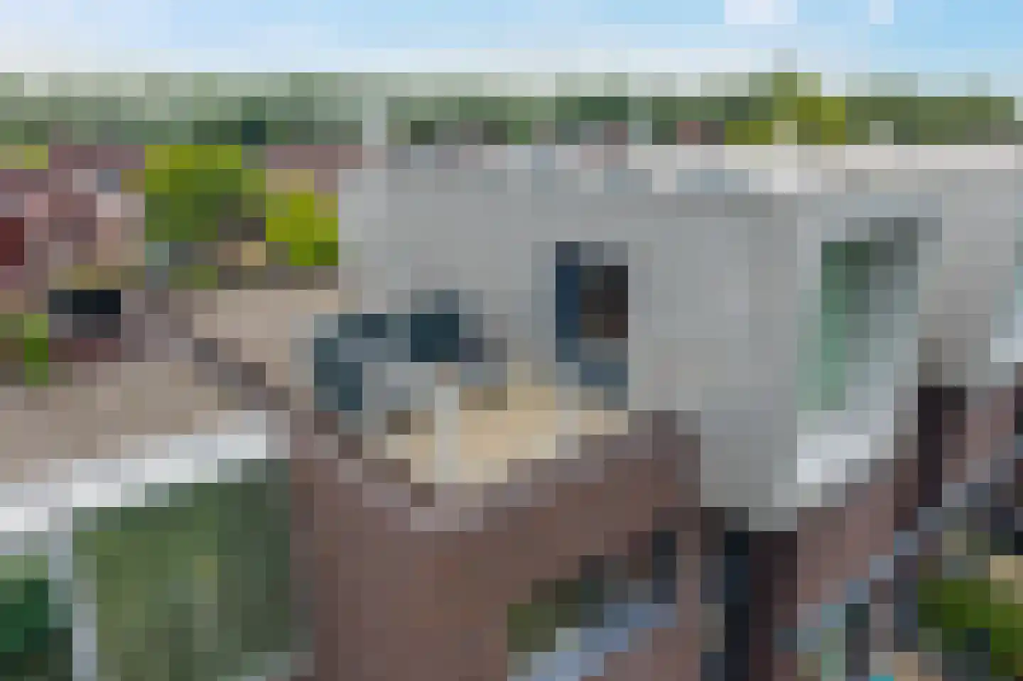 Klaas Schipperlaan 8 Groningen thumbnail 35