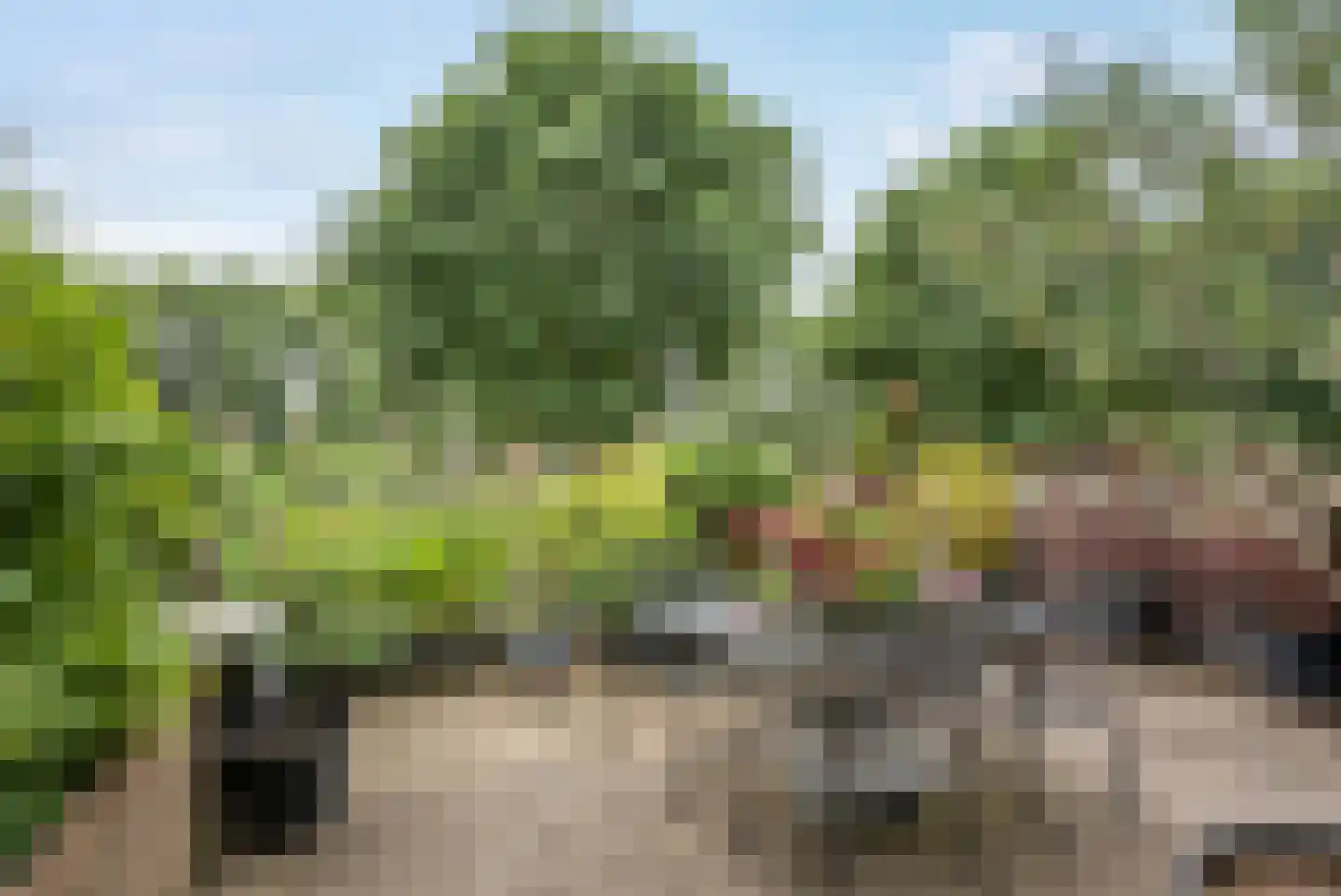 Klaas Schipperlaan 8 Groningen thumbnail 4