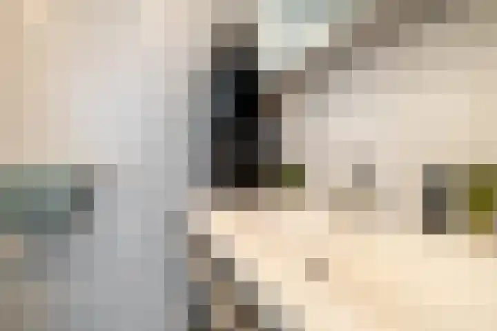Klaas Schoorlplein 15 Purmerend thumbnail 27