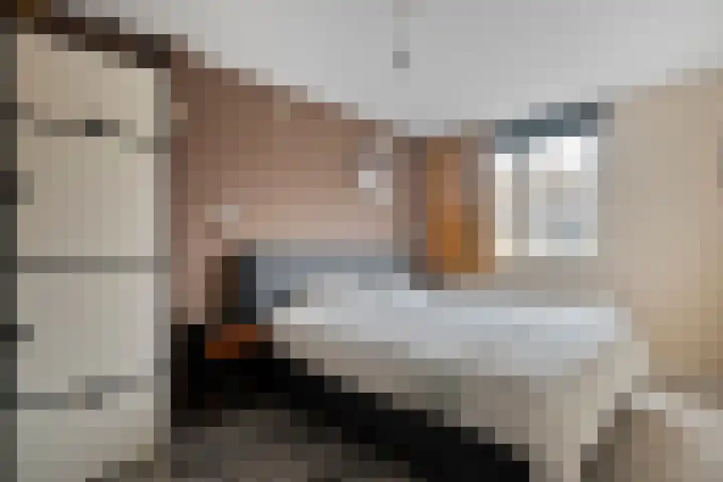 Klaas Sminklaan 13 Meppel thumbnail 16