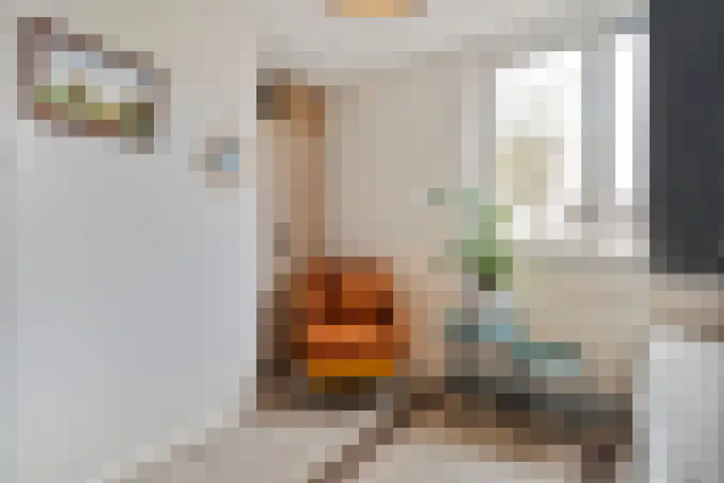 Klaas Sminklaan 13 Meppel thumbnail 19