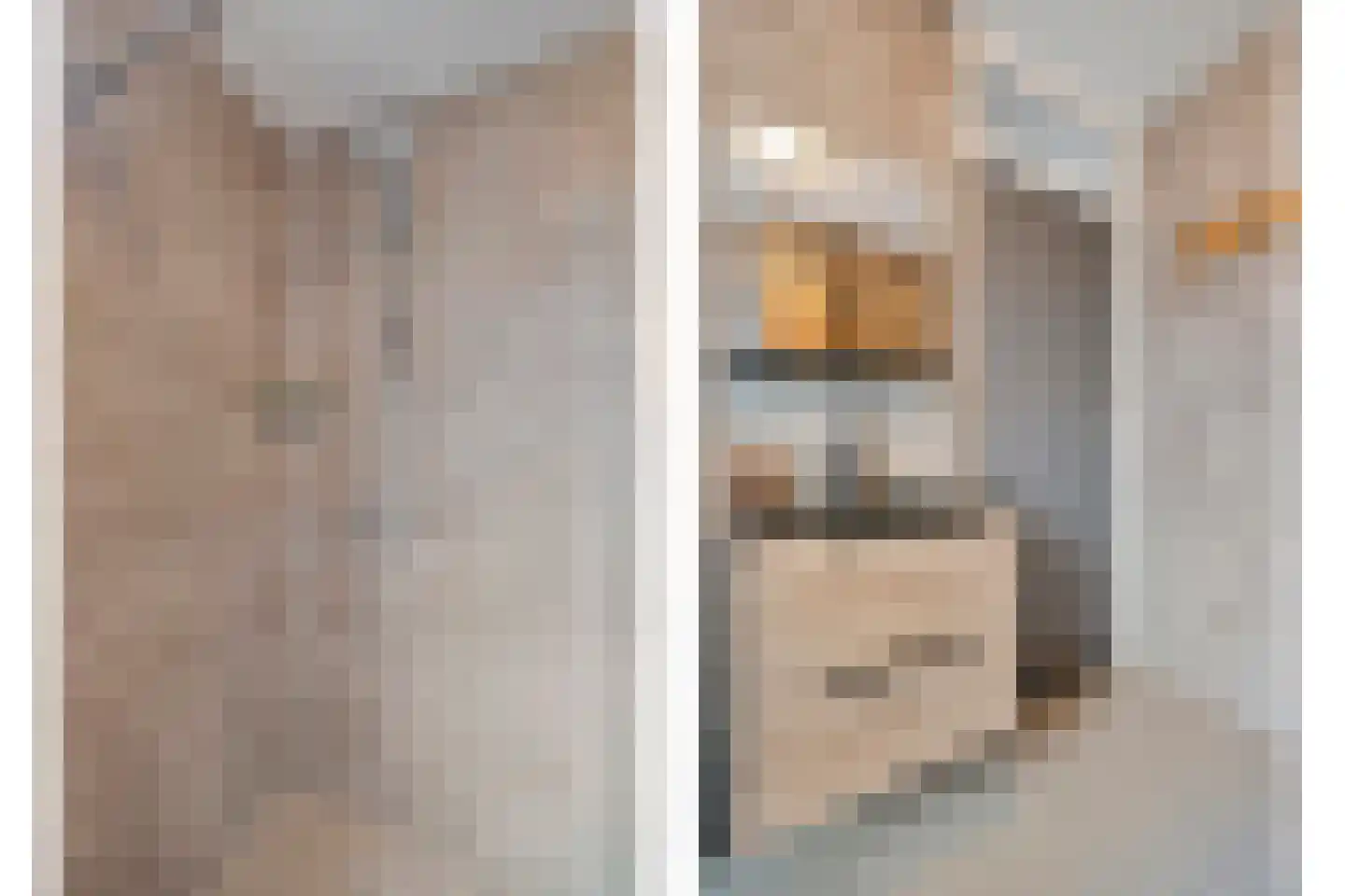 Klaas Sminklaan 13 Meppel thumbnail 22