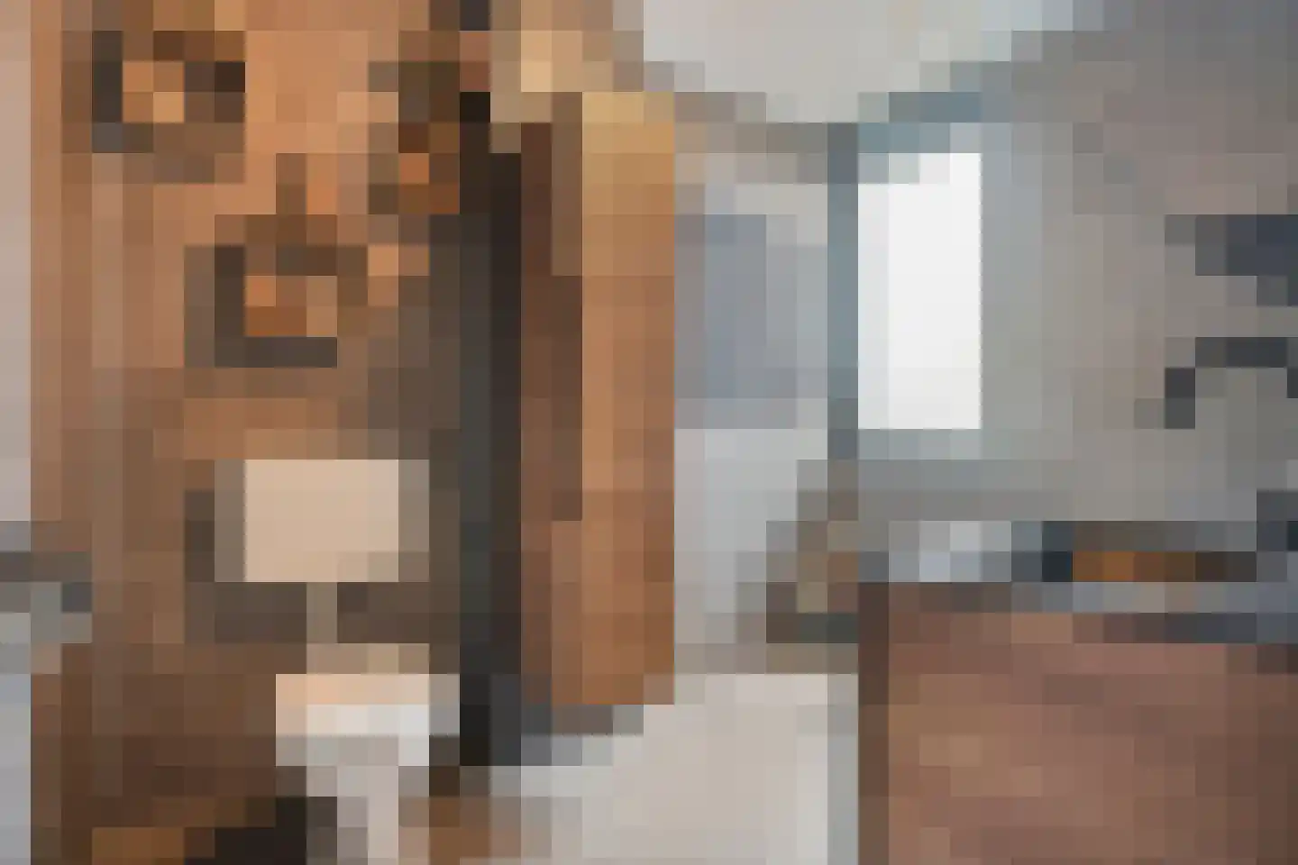 Klaas Sminklaan 13 Meppel thumbnail 23