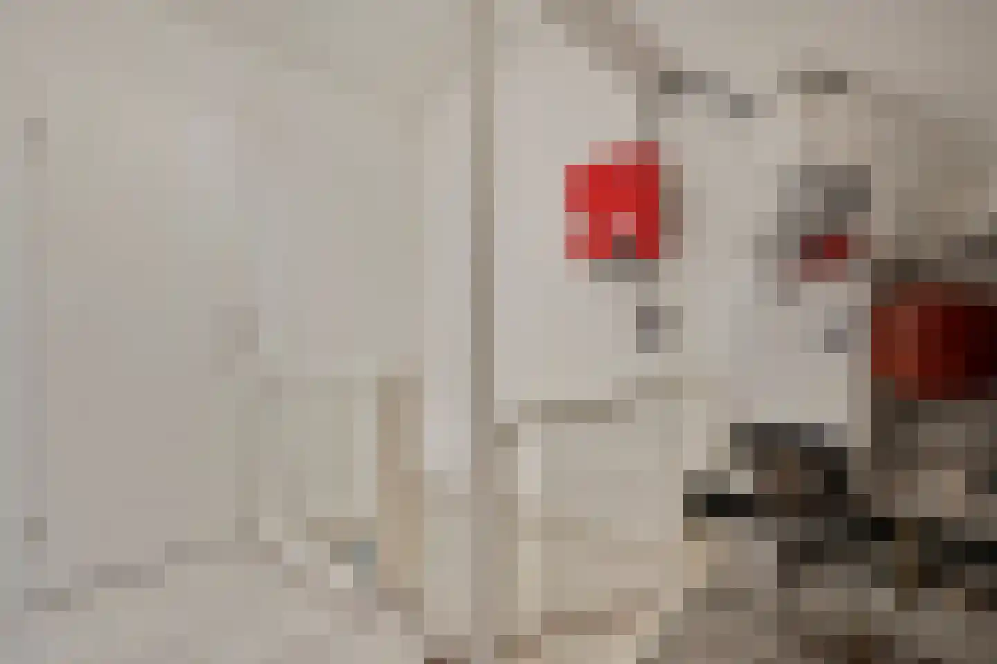Klaas Sminklaan 13 Meppel thumbnail 24