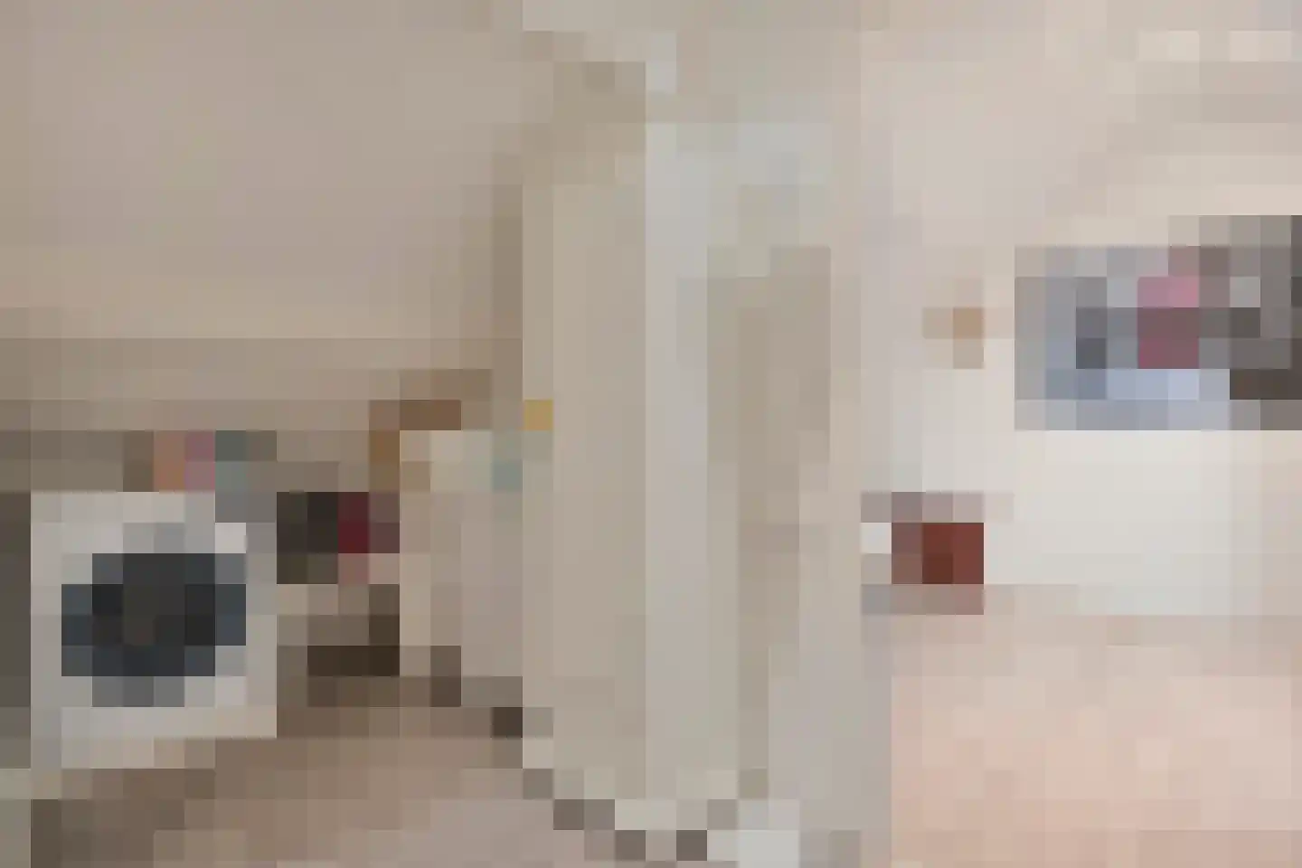 Klaas Sminklaan 13 Meppel thumbnail 25