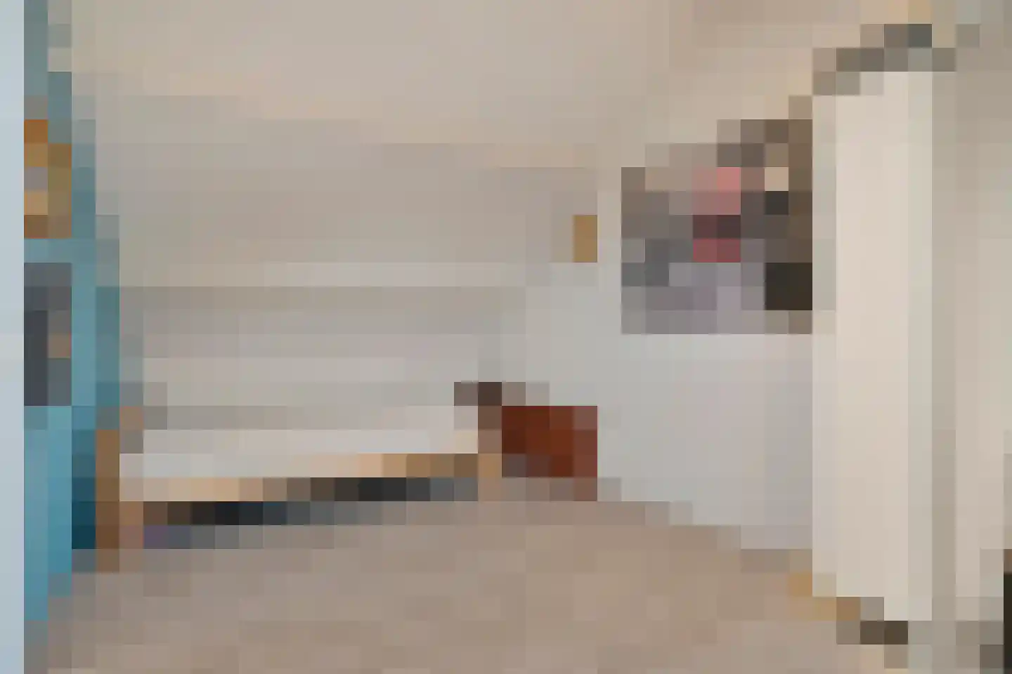 Klaas Sminklaan 13 Meppel thumbnail 27
