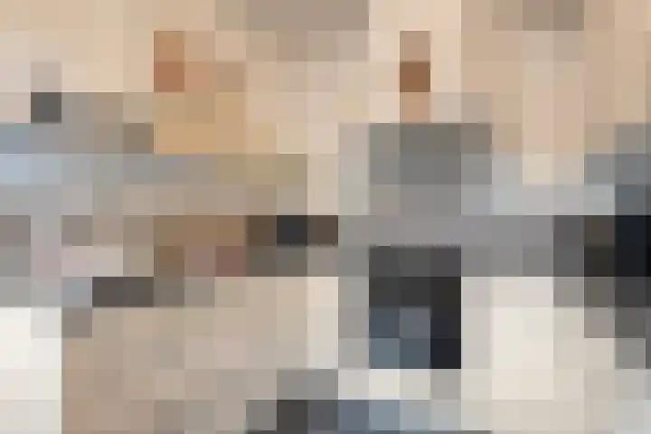 Klaas Sminklaan 7 Meppel thumbnail 10