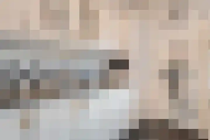 Klaas Sminklaan 7 Meppel thumbnail 12