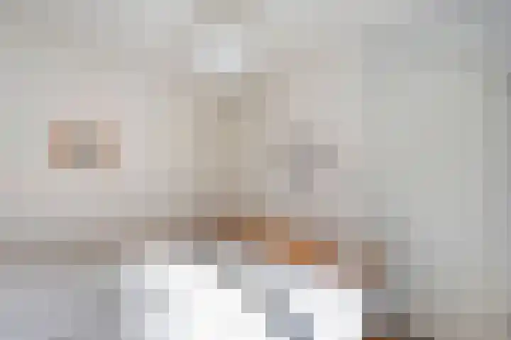 Klaas Sminklaan 7 Meppel thumbnail 21