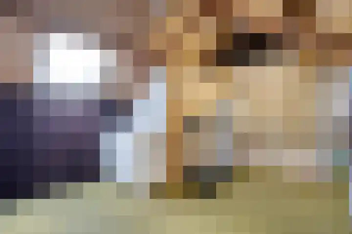Klaas Sminklaan 7 Meppel thumbnail 24