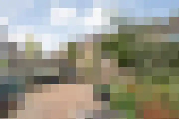 Klaas Sminklaan 7 Meppel thumbnail 27