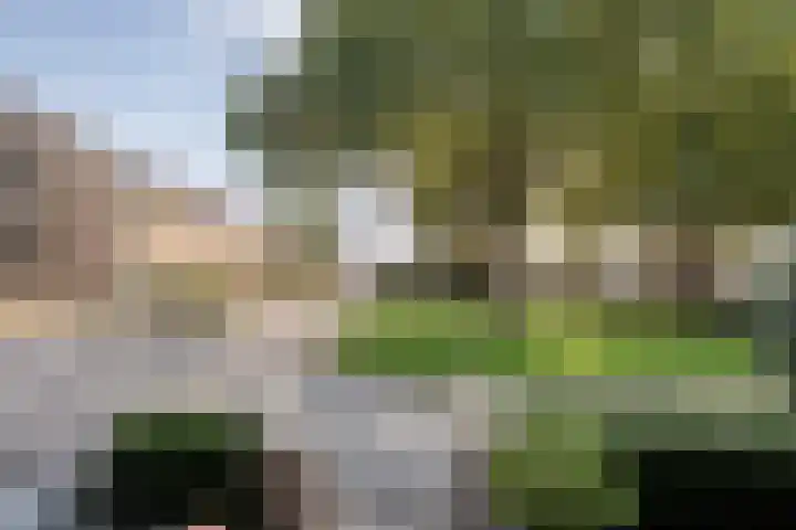 Klaas Sminklaan 7 Meppel thumbnail 32