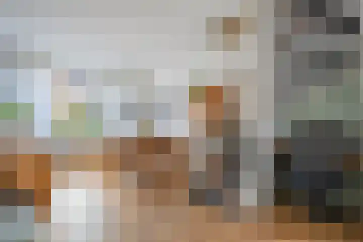 Klaas Sminklaan 7 Meppel thumbnail 7