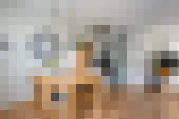 Klaas Sminklaan 7 Meppel thumbnail 8