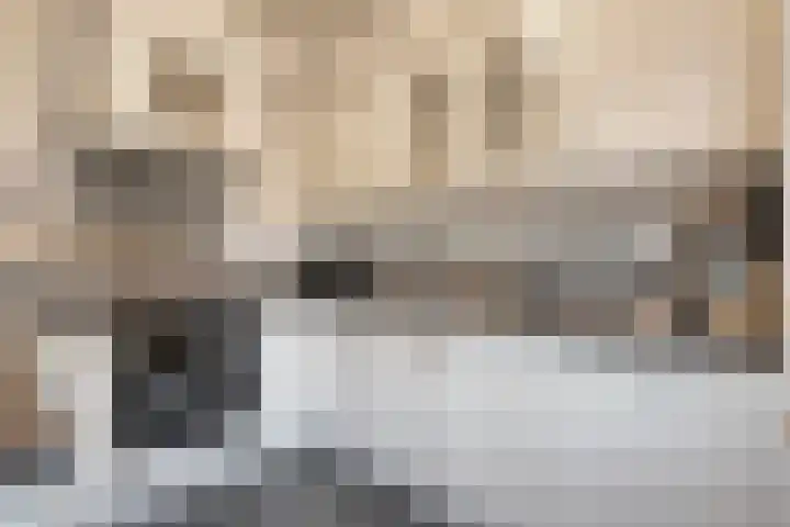 Klaas Sminklaan 7 Meppel thumbnail 9