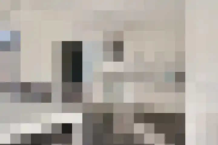 Klaas van der Meijstrjitte 16 Bitgummole thumbnail 12