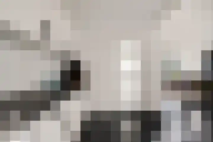 Klaas van der Meijstrjitte 16 Bitgummole thumbnail 16