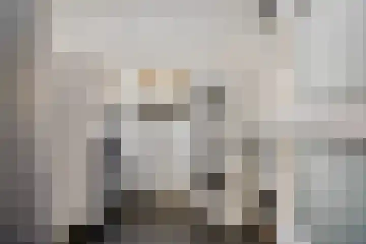 Klaas van der Meijstrjitte 16 Bitgummole thumbnail 17
