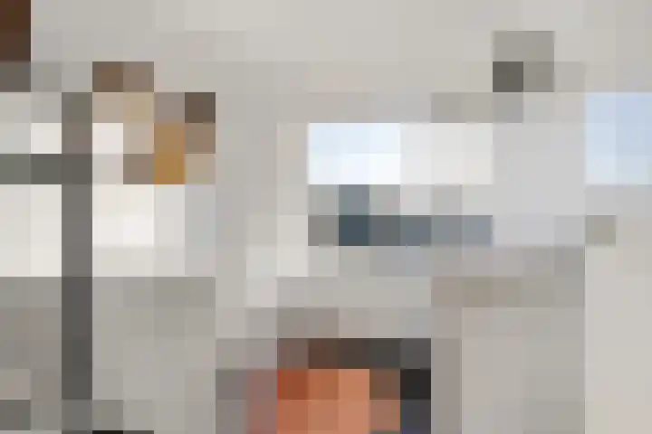 Klaas van der Meijstrjitte 16 Bitgummole thumbnail 18