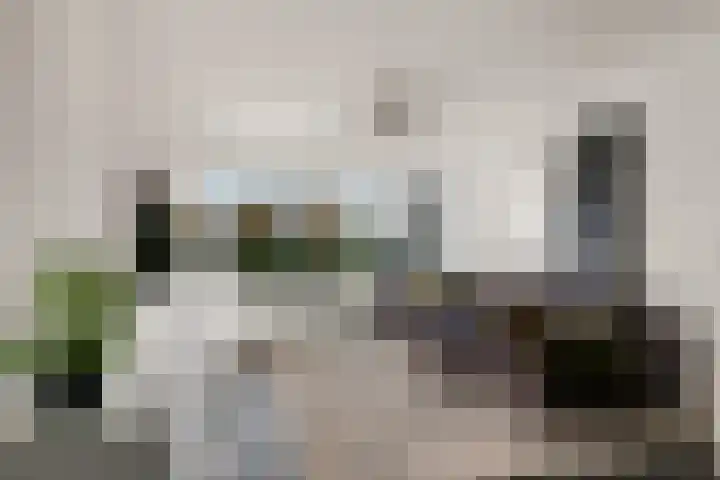 Klaas van der Meijstrjitte 16 Bitgummole foto 2