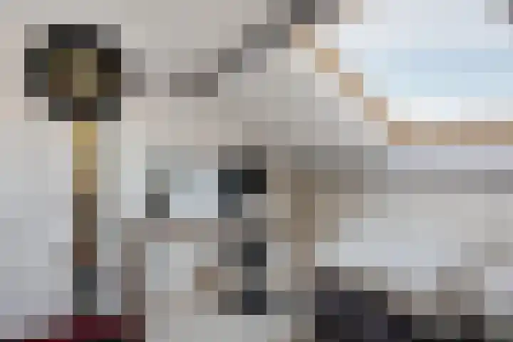 Klaas van der Meijstrjitte 16 Bitgummole thumbnail 28