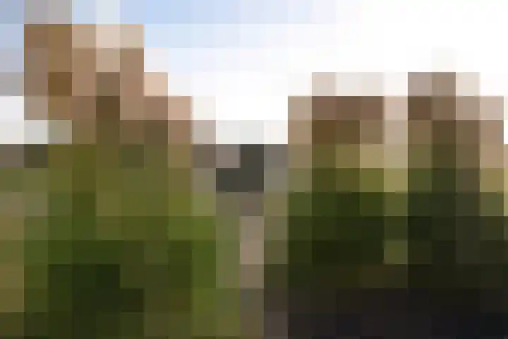 Klaas van der Meijstrjitte 16 Bitgummole thumbnail 32