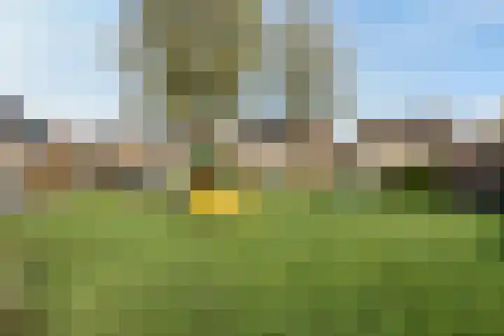 Klaas van der Meijstrjitte 16 Bitgummole thumbnail 33