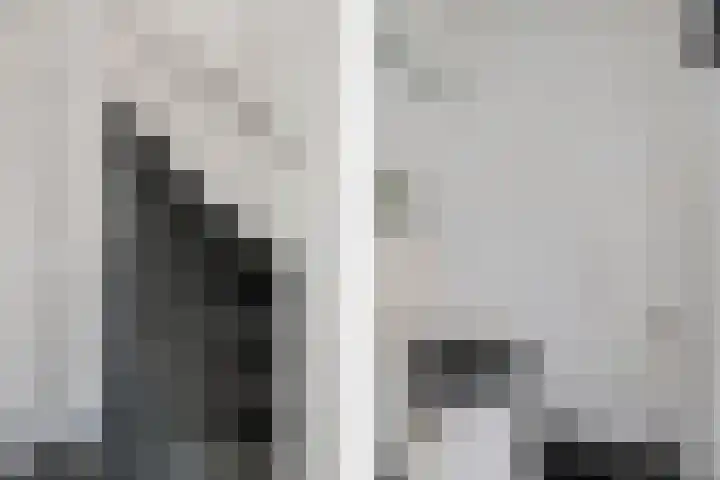 Klaas van der Meijstrjitte 16 Bitgummole thumbnail 8