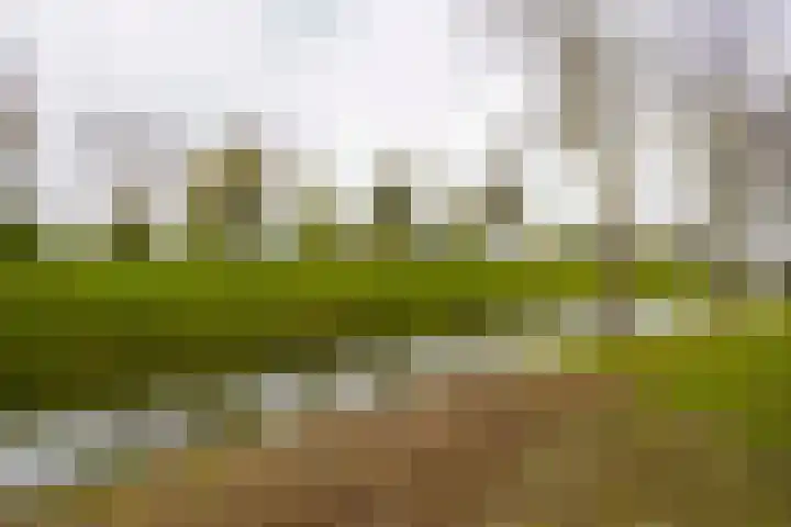 Klaas van Reeuwijkstraat 10 Hoofddorp thumbnail 46