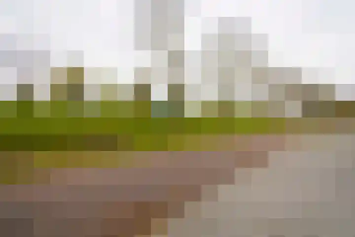 Klaas van Reeuwijkstraat 10 Hoofddorp thumbnail 48
