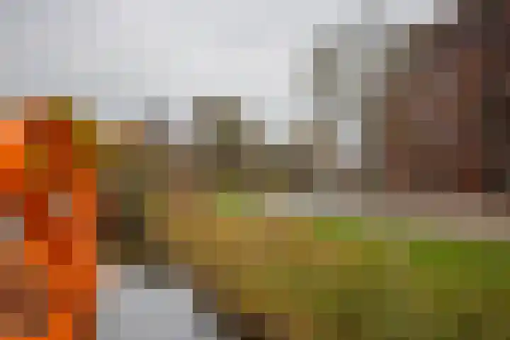 Klaas van Reeuwijkstraat 10 Hoofddorp thumbnail 50