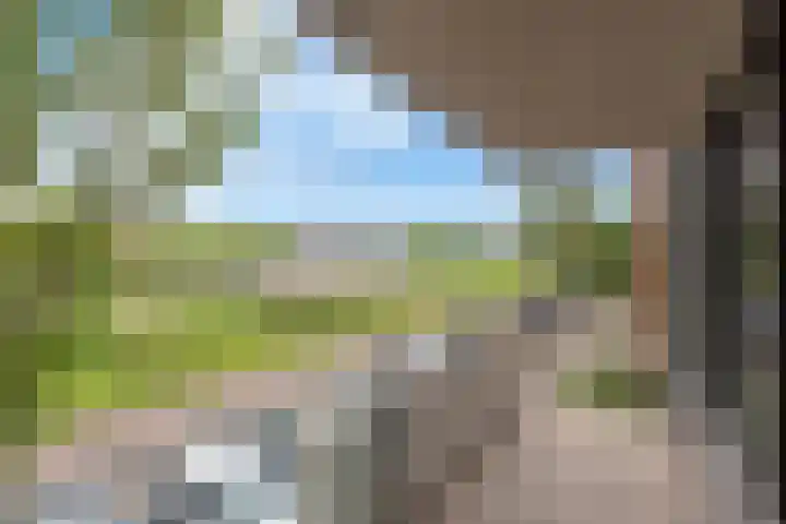 Klaas van Reeuwijkstraat 16 Hoofddorp thumbnail 4