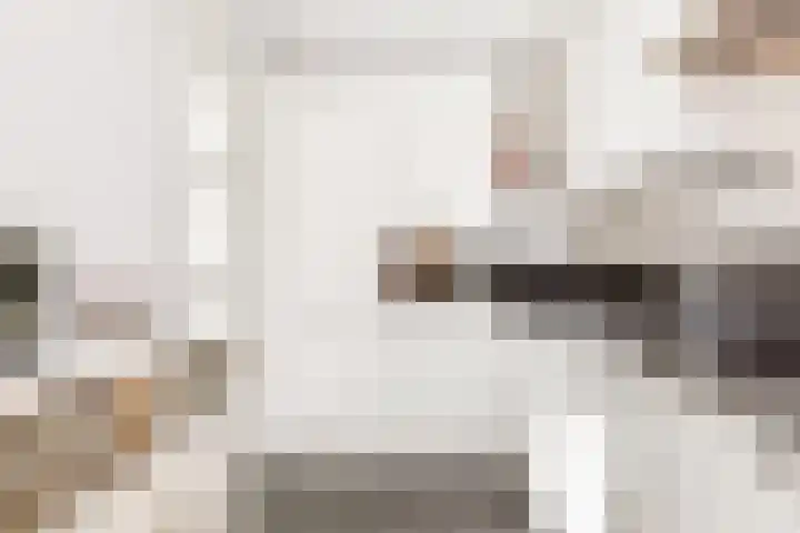 Klaas Visscherstraat 1 Nijkerk thumbnail 11