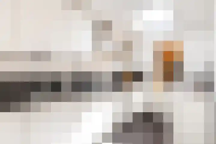 Klaas Visscherstraat 1 Nijkerk thumbnail 12