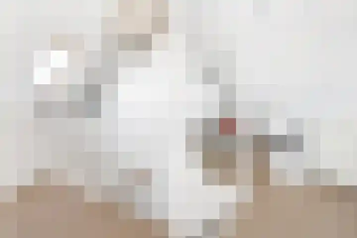 Klaas Visscherstraat 1 Nijkerk thumbnail 23